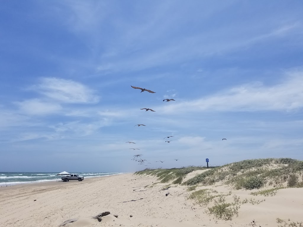 Padre Island National Seashore | Texas, USA | Phone: (361) 949-8068