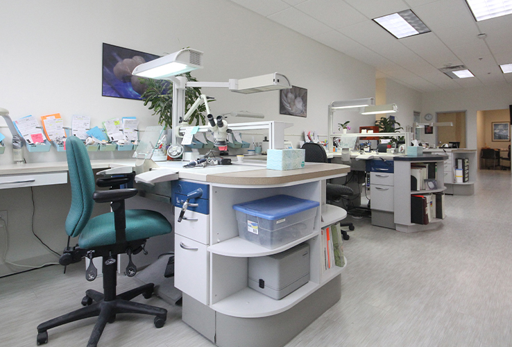 Perfect Impressions Dental Laboratory | 4100 Midway Rd #1150, Carrollton, TX 75007, USA | Phone: (972) 385-2295