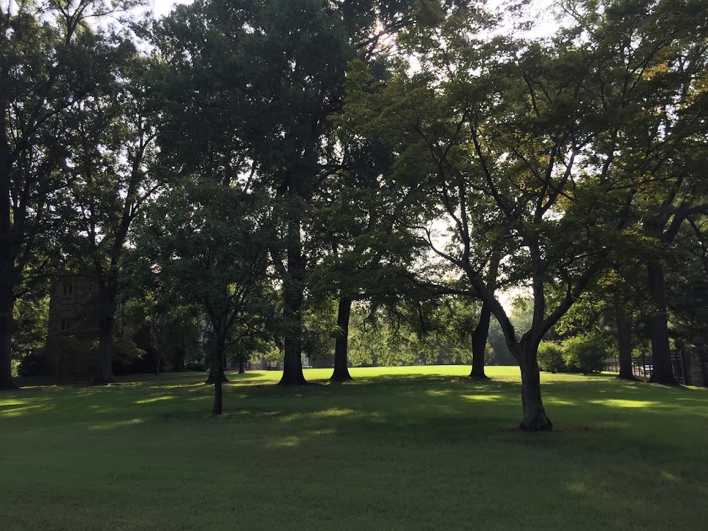 Rhodes College Arboretum | 2000 North Pkwy, Memphis, TN 38112, USA | Phone: (901) 843-3238