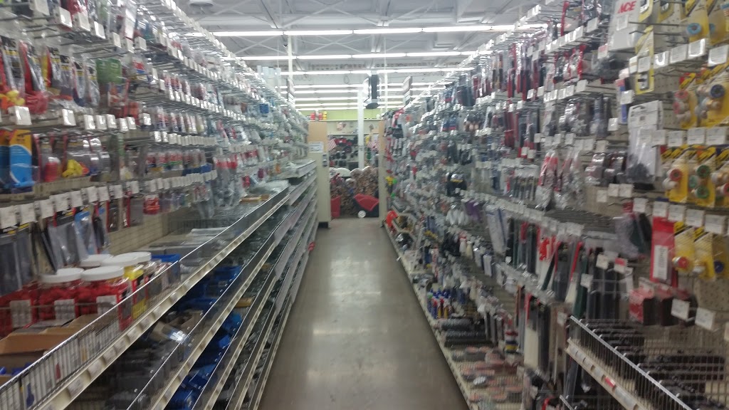 Ace Hardware & Paint | 108 W 98th St, Bloomington, MN 55420, USA | Phone: (952) 767-2981