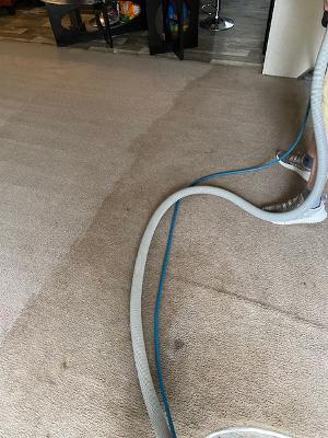 Plymouth Carpet Service | 42030 Koppernick Rd STE 309, Canton, MI 48187, USA | Phone: (734) 453-7450