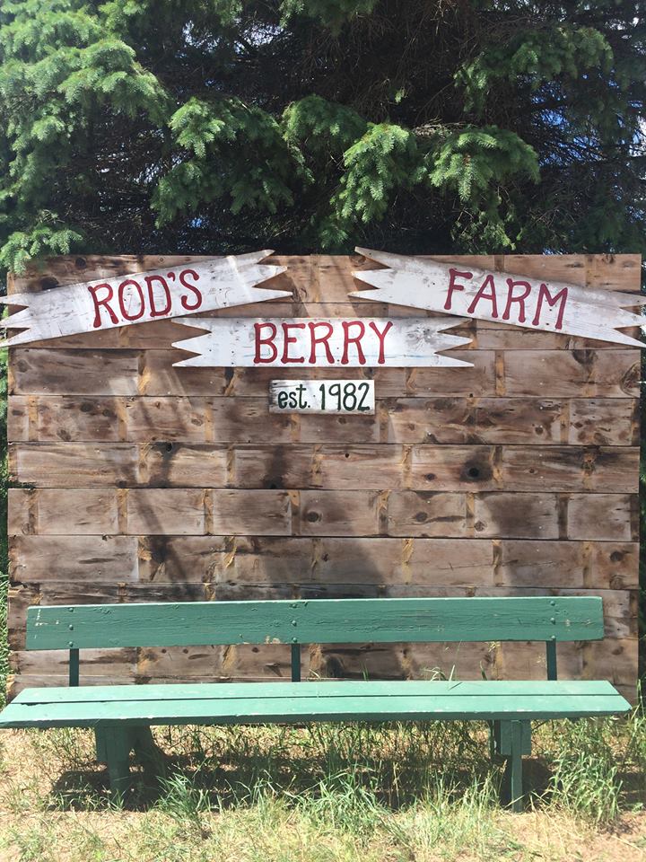 Rods Berry Farm | 28624 Zodiac St NE, North Branch, MN 55056, USA | Phone: (651) 674-8765