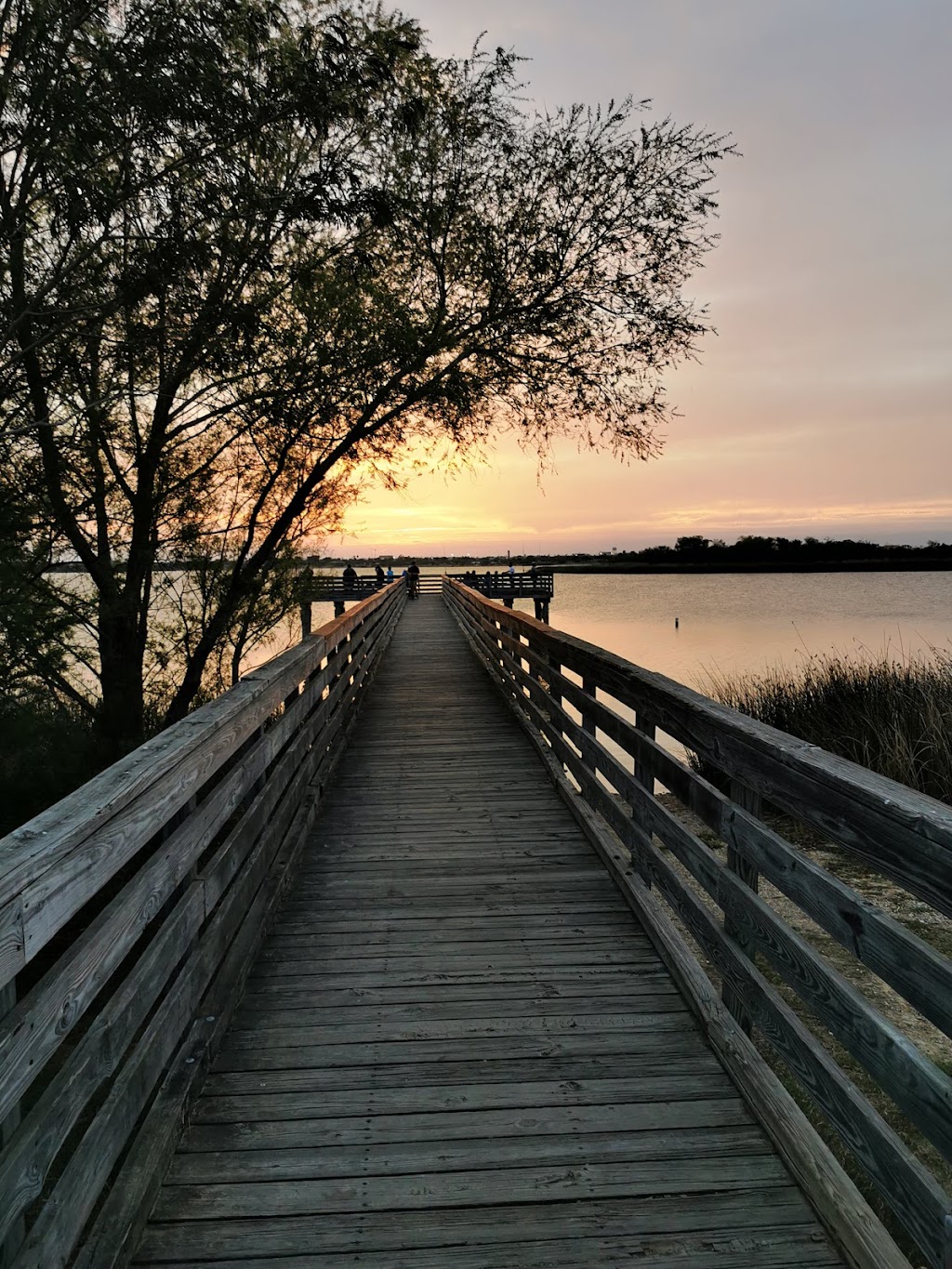 Lake Casa Blanca International State Park | 5102 Bob Bullock Loop, Laredo, TX 78041, USA | Phone: (956) 725-3826