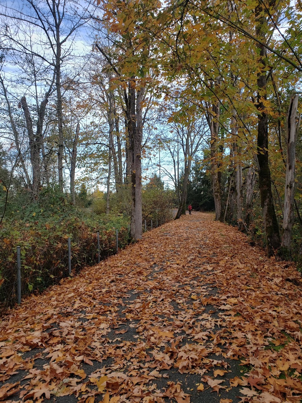 Bear Creek Park | Evans Creek Trail, Redmond, WA 98053, USA | Phone: (425) 556-2900