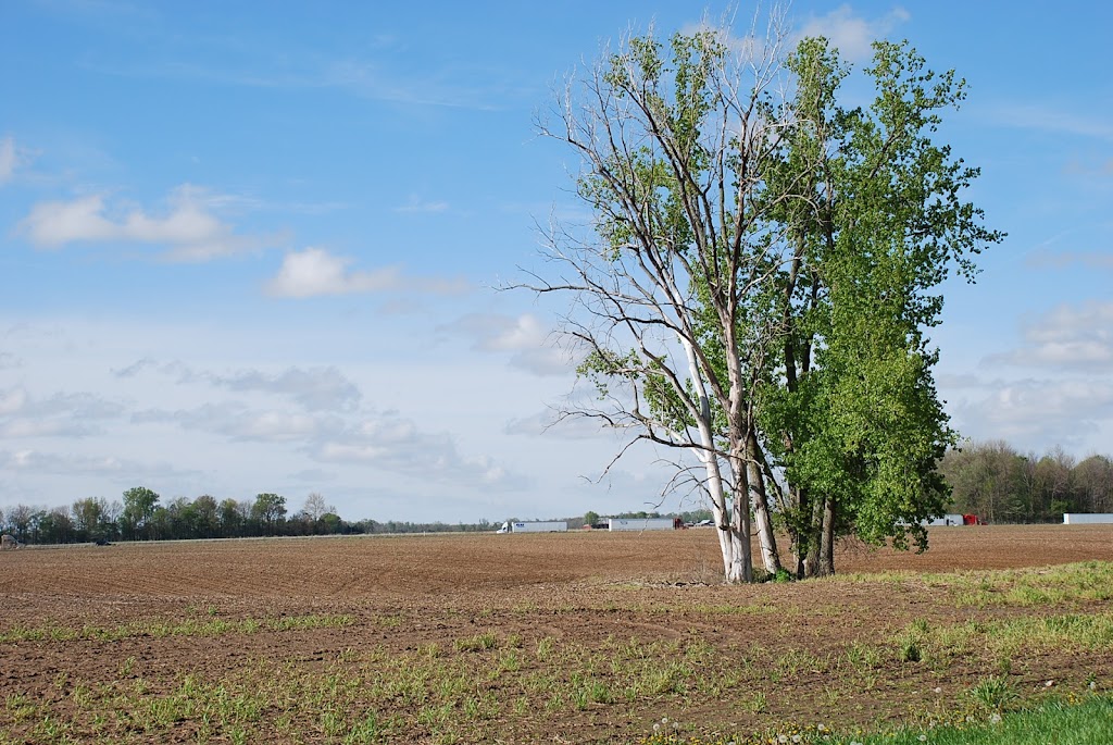 Union Cemetery | 11565 OH-105, Oak Harbor, OH 43449, USA | Phone: (419) 898-4494