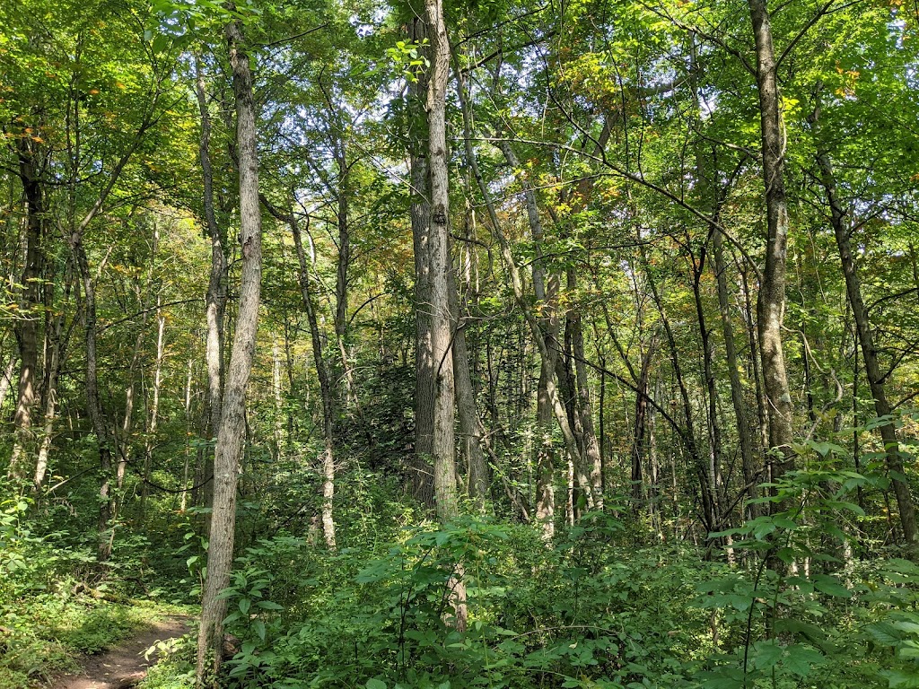 Montour Woods Conservation Area | 1875 Hassam Rd, Coraopolis, PA 15108, USA | Phone: (412) 264-5354
