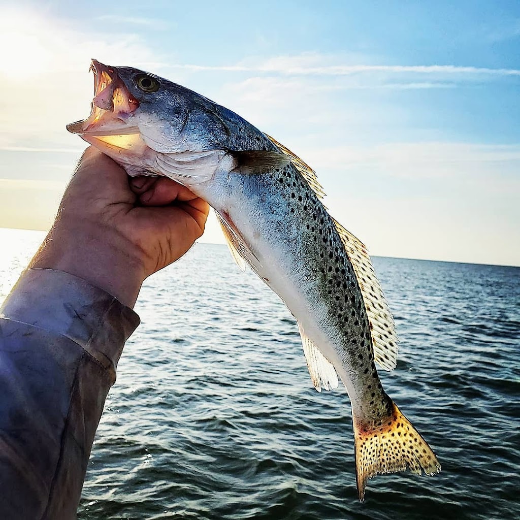 Salt Addiction Sportfishing | 9737 Cooks Landing Ln, Hayes, VA 23072, USA | Phone: (804) 824-6815