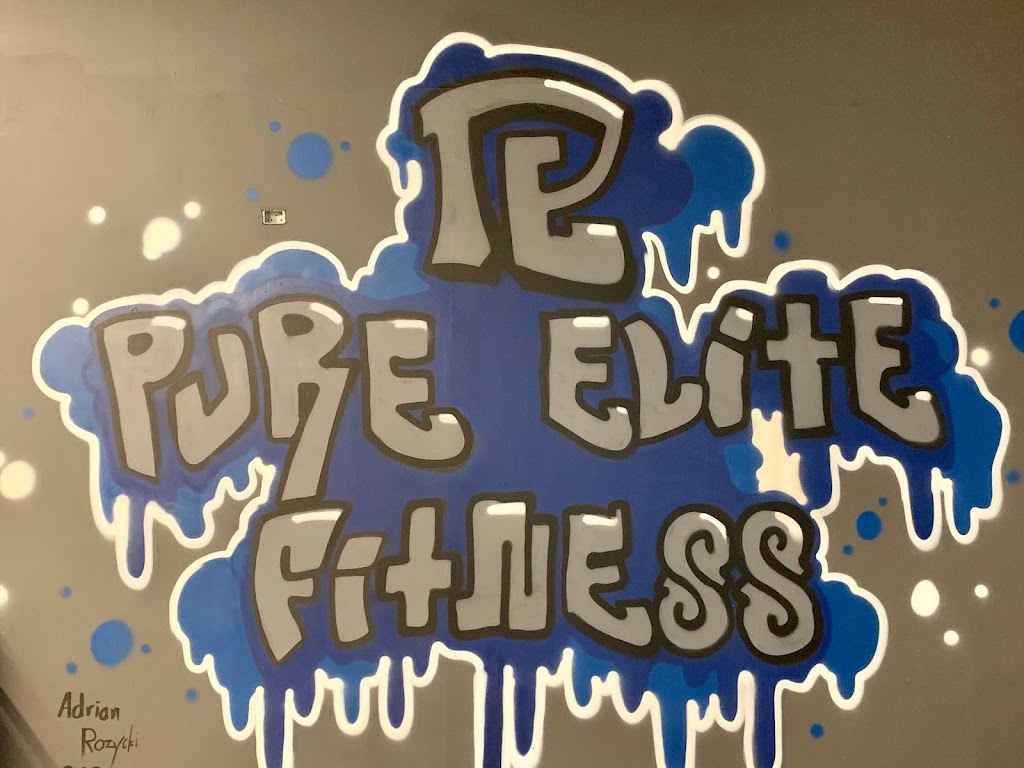 Pure Elite Fitness | 1500 E Euclid Ave, Mt Prospect, IL 60056, USA | Phone: (224) 636-2824