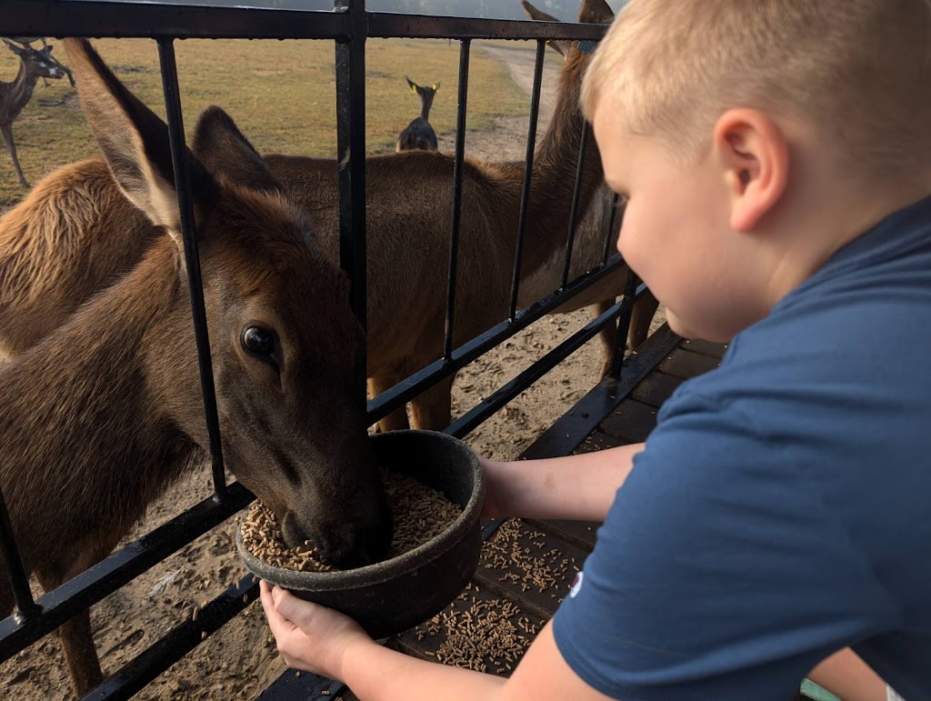 Dutch Creek Farm Animal Park | 6255 N 1000 W, Shipshewana, IN 46565, USA | Phone: (260) 768-4416