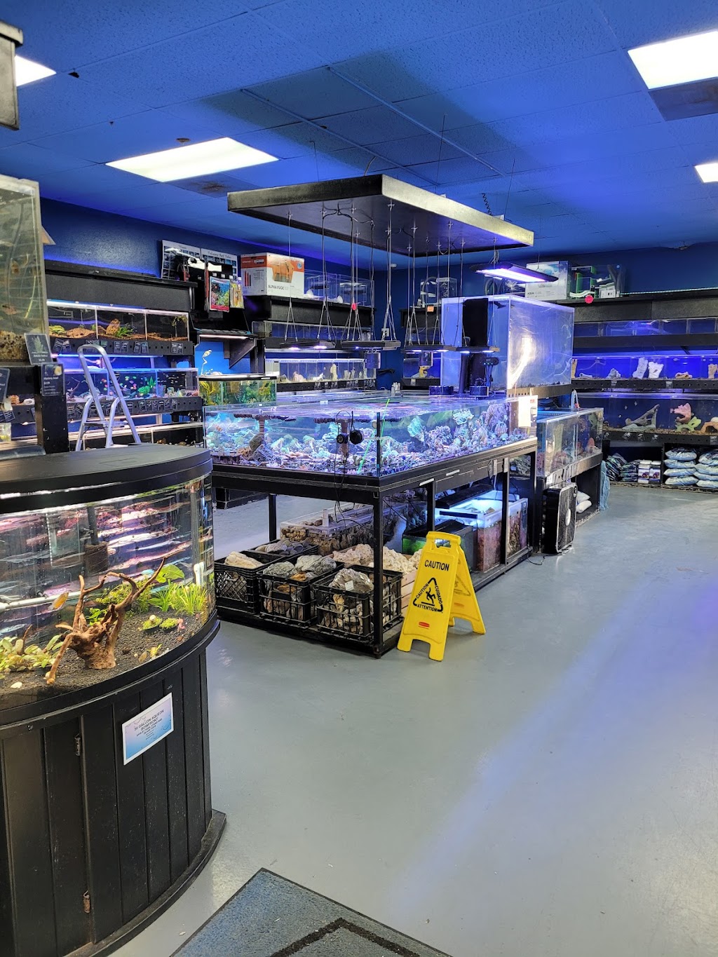 Aquatic Design Aquariums | 1629 N US 75-Central Expy 1000, Plano, TX 75075 | Phone: (972) 423-0414