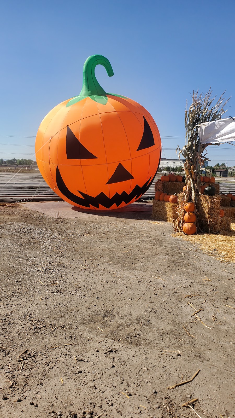 García farms | 16400 Chino Corona Rd, Chino, CA 91708, USA | Phone: (909) 235-1392