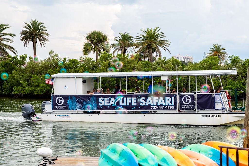 Sea Life Safari Nature Cruise | 249 Windward Passage, Clearwater Beach, FL 33767, USA | Phone: (727) 441-1790