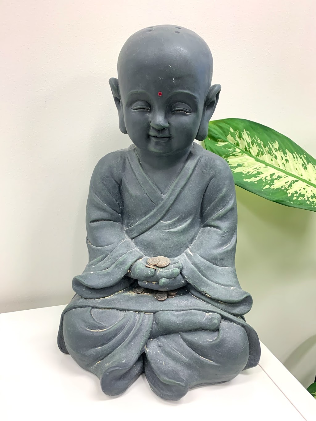 Sweaty Buddha | 10500 Westport Rd, Louisville, KY 40241, USA | Phone: (502) 409-5903