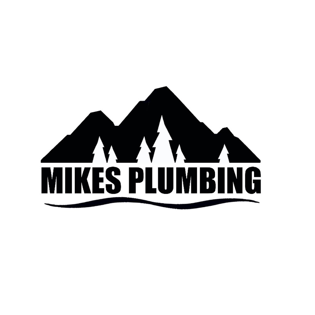 Mikes Plumbing | 1016 Holden Ave, Big Bear, CA 92314, USA | Phone: (909) 744-2788