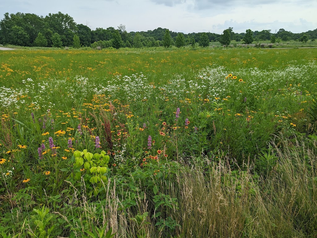 Distillery Bend Trailhead | Beckley Creek Pkwy, Louisville, KY 40245, USA | Phone: (502) 584-0350