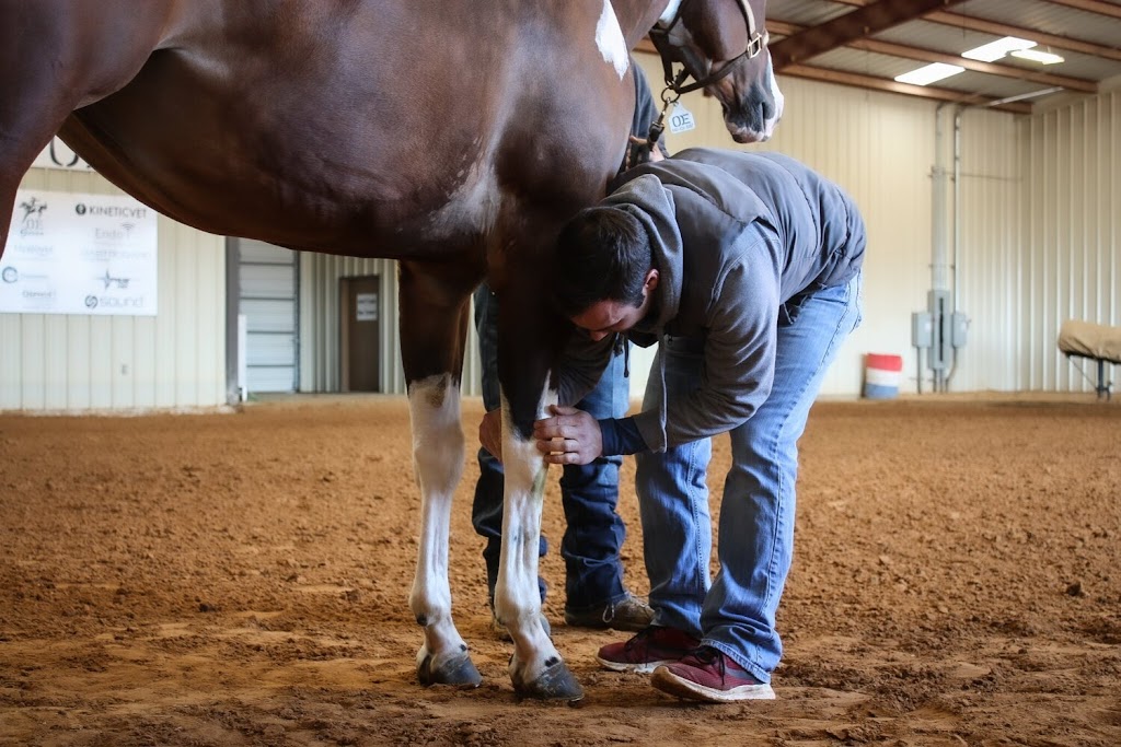 Outlaw Equine Hospital and Rehab Center | 2124 Co Rd 4127, Decatur, TX 76234, USA | Phone: (940) 626-8387