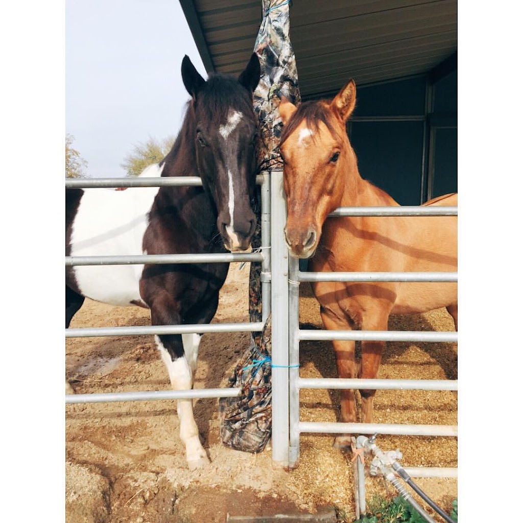 Tally Ho Horse Park | 12263 E Paul Ave, Clovis, CA 93619 | Phone: (559) 323-9046