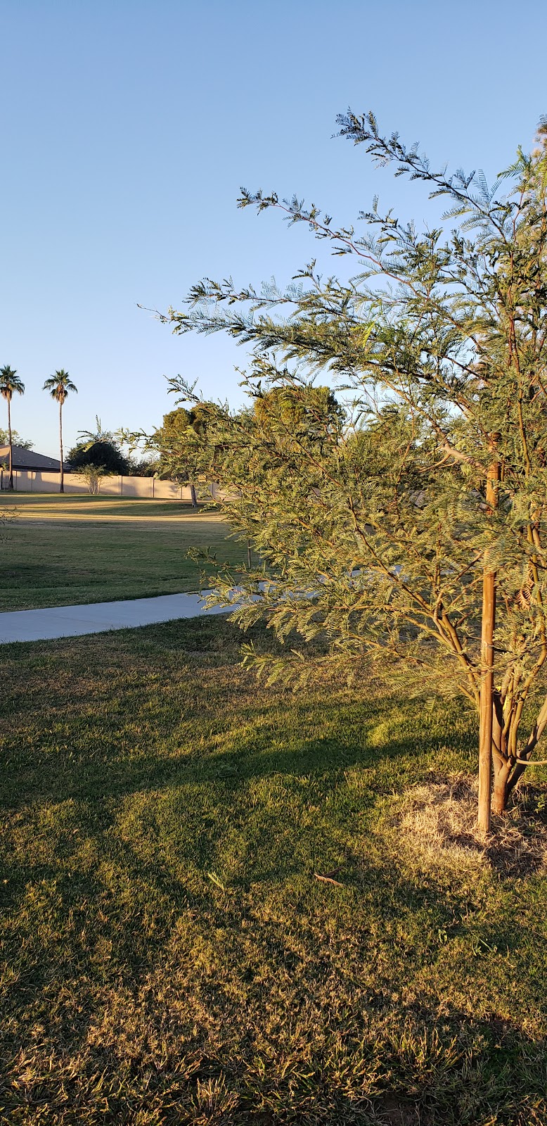 Corbell Park | 7300 S Lakeshore Dr, Tempe, AZ 85283, USA | Phone: (480) 350-5200