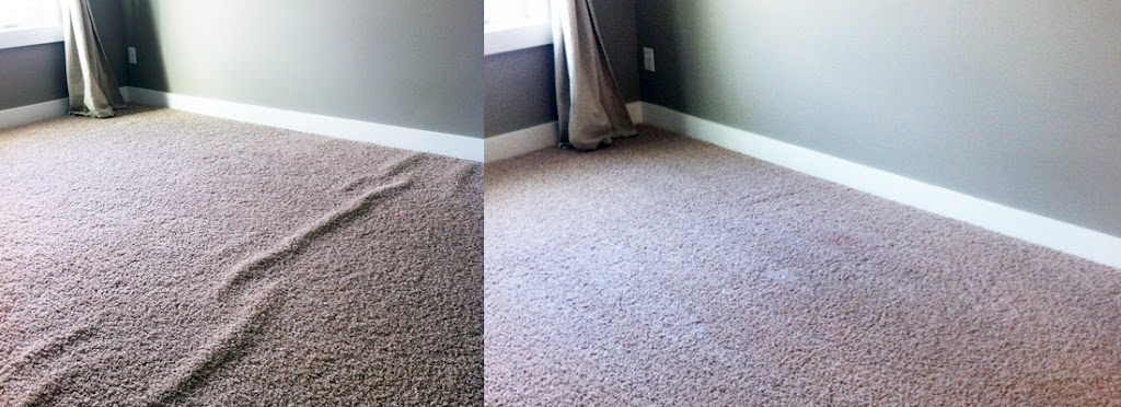 Advantage Carpet Cleaning | 19530 Cottonwood Cir, Elkhorn, NE 68022, USA | Phone: (402) 515-6983