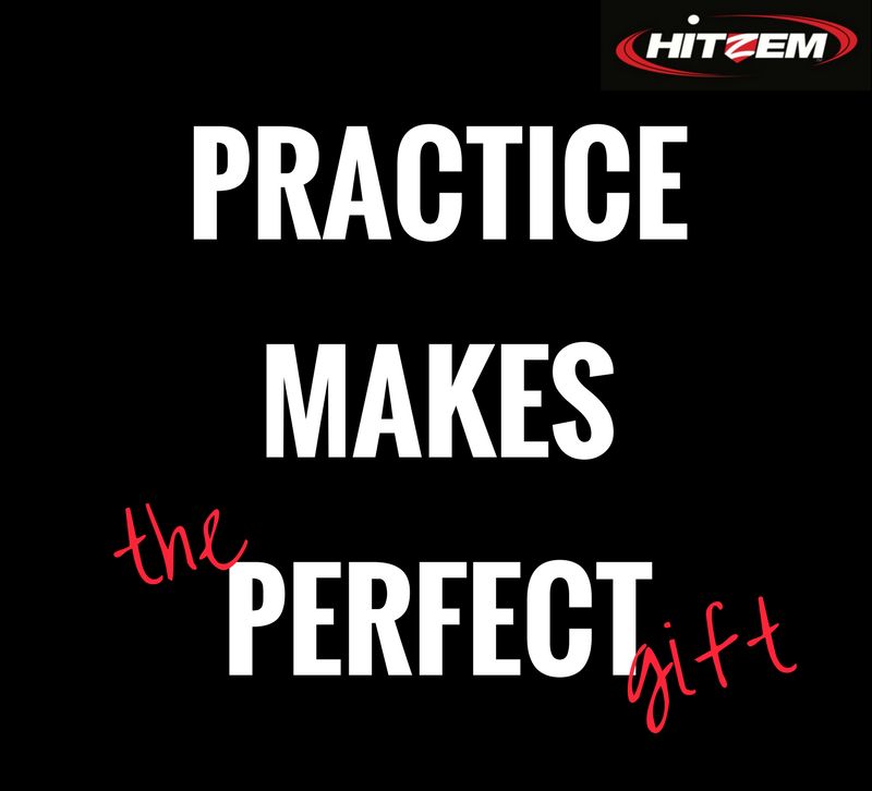 HitZem Baseball & Softball Hitting Net | 1348 Stewart Blvd, Clearwater, FL 33764, USA | Phone: (727) 420-0001