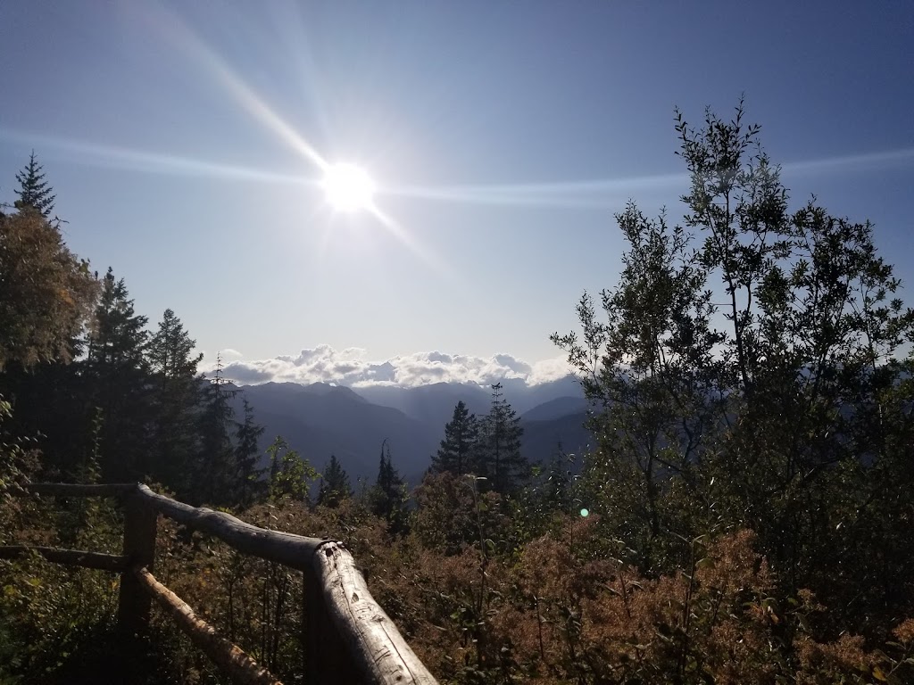 Mt. Walker Viewpoint | Mt Walker Lookout Rd, Brinnon, WA 98320, USA | Phone: (360) 956-2402