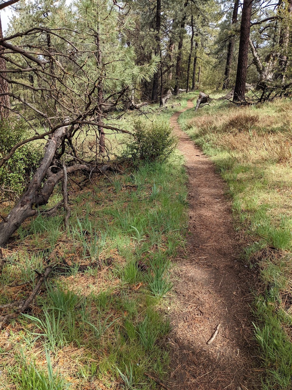 Boulder Oaks Trailhead | Old Hwy 80, Campo, CA 91906, USA | Phone: (858) 673-6180