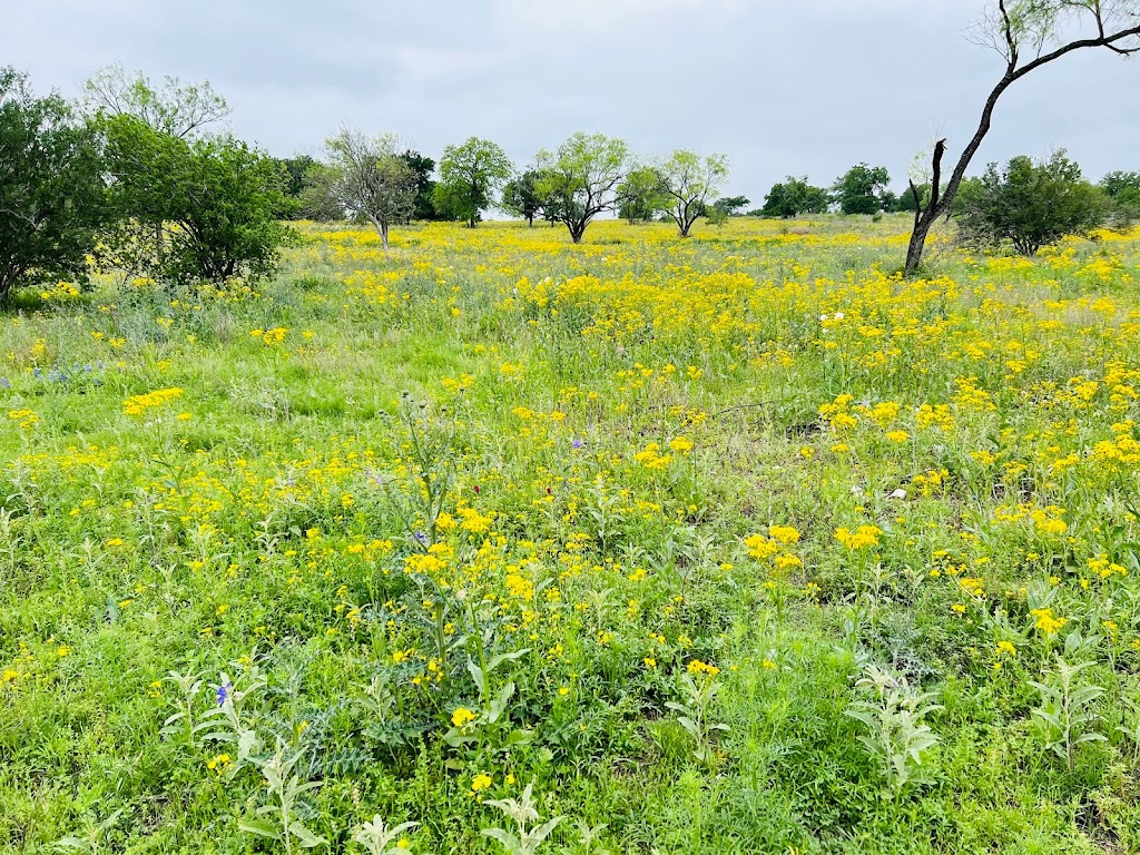 Muleshoe Bend Recreation Area | 2820 Co Rd 414, Spicewood, TX 78669, USA | Phone: (512) 473-3366