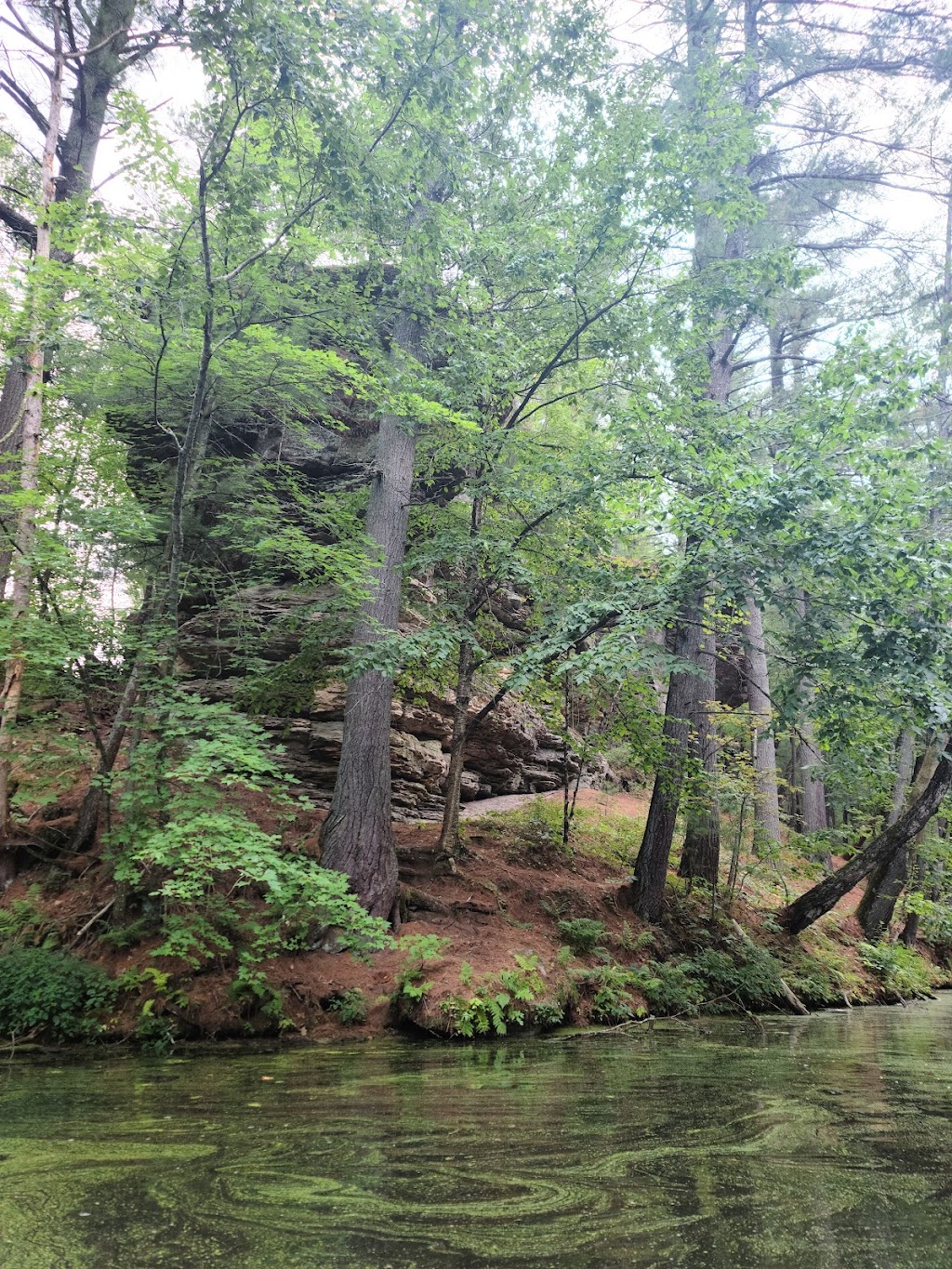 Mirror Lake Pine Oak Forest State Natural Area | Wisconsin Dells, WI 53965, USA | Phone: (608) 266-0394