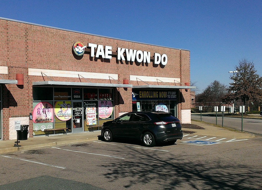 Master Chos Tae Kwon Do and Martial Arts | 9964 Brook Rd, Glen Allen, VA 23059, USA | Phone: (804) 262-0101