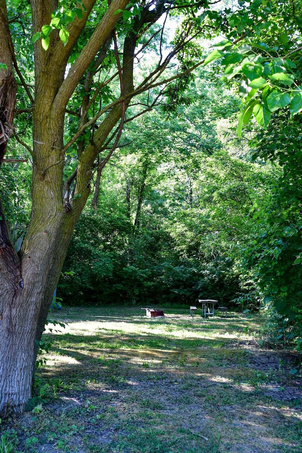 Middle Bass Island State Park | 1719 Fox, Middle Bass, OH 43446, USA | Phone: (419) 285-0311