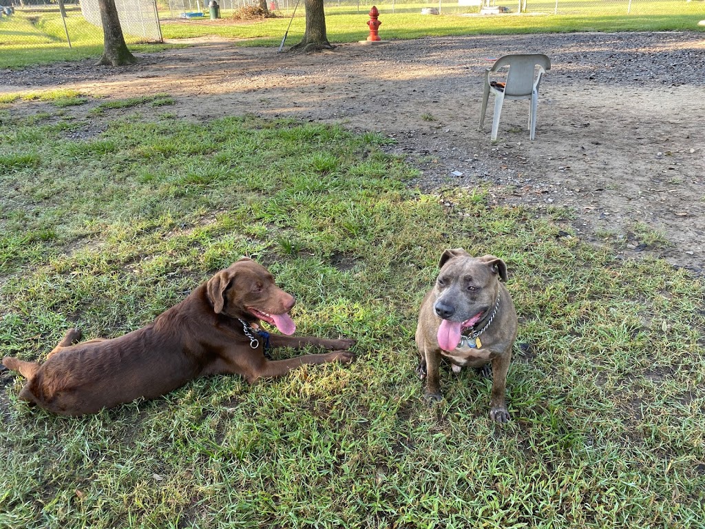 Friends of Raising Canes Camilla City Bark Park | 901 Howze Beach Rd, Slidell, LA 70458 | Phone: (985) 646-4371