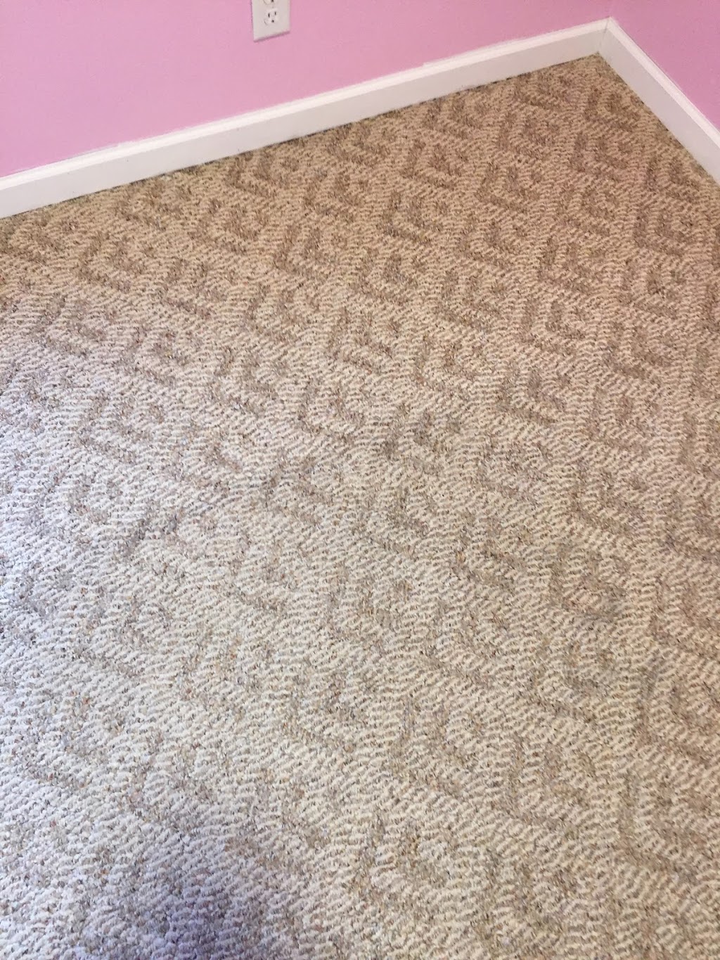 Piasecki Carpet and Upholstery Cleaning | Carter Rd, Carleton, MI 48117, USA | Phone: (313) 220-5538