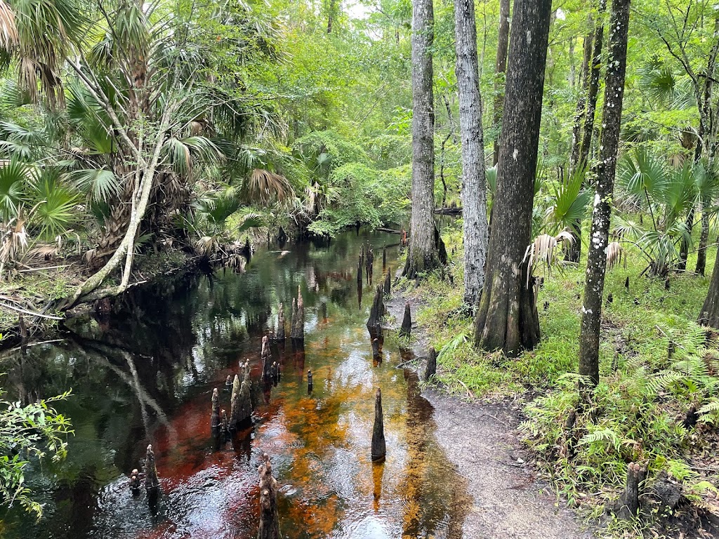 Starkey Park Bike Trail Head | 11115 Wilderness Park Blvd, New Port Richey, FL 34655, USA | Phone: (813) 929-2760