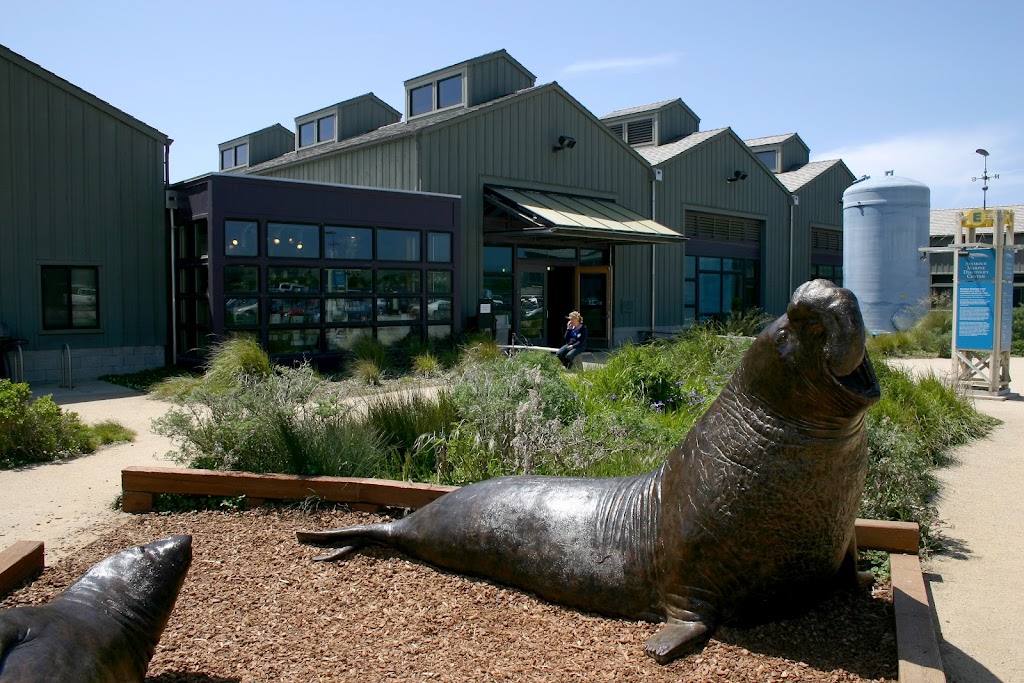 Seymour Marine Discovery Center | 100 McAllister Way, Santa Cruz, CA 95060, USA | Phone: (831) 459-3800