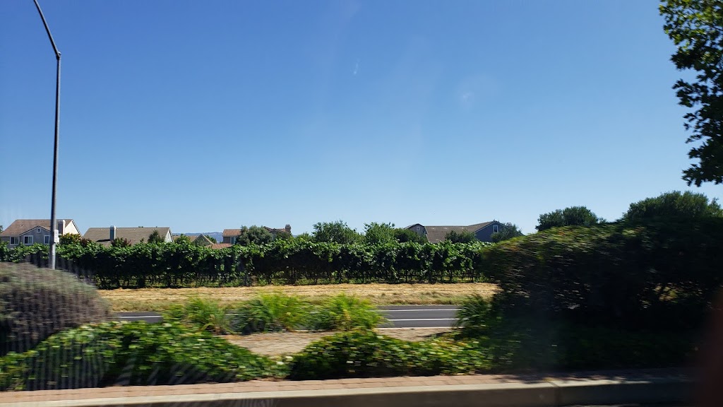 Westwinds Apartment Homes | 5639 Jacquiline Way, Livermore, CA 94550, USA | Phone: (925) 449-1088