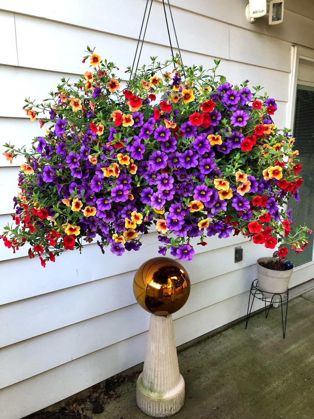 Kerns Florist and Greenhouse | 2438 Canton Rd, Akron, OH 44312, USA | Phone: (330) 699-6529