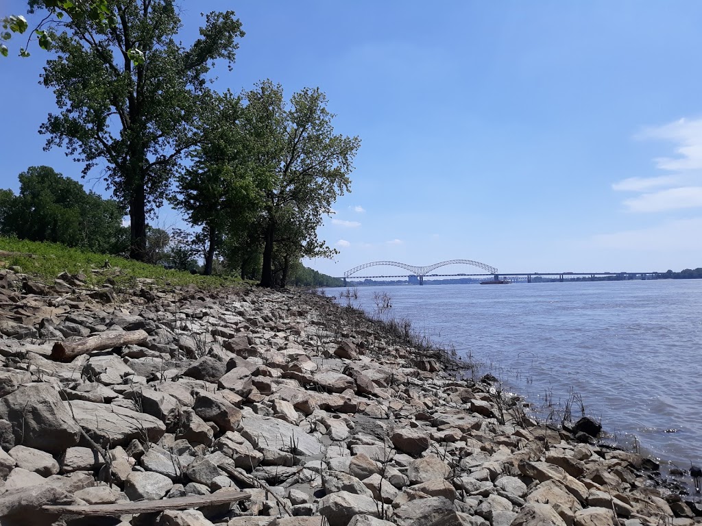 Shelby County Mayors Office | 11, 160 N Main St, Memphis, TN 38103, USA | Phone: (901) 545-4311 Shelby County Mayors Office | 11, 160 N Main St, Memphis, TN 38103, USA | Phone: (901) 545-4311