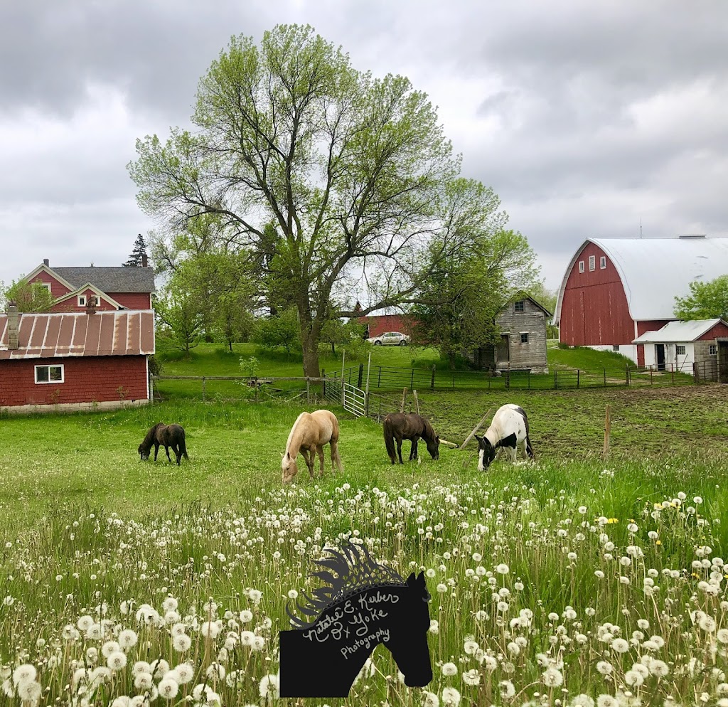 Ox Yoke Stables, Inc. | 8900 County Rd 26, Maple Plain, MN 55359, USA | Phone: (952) 855-2611