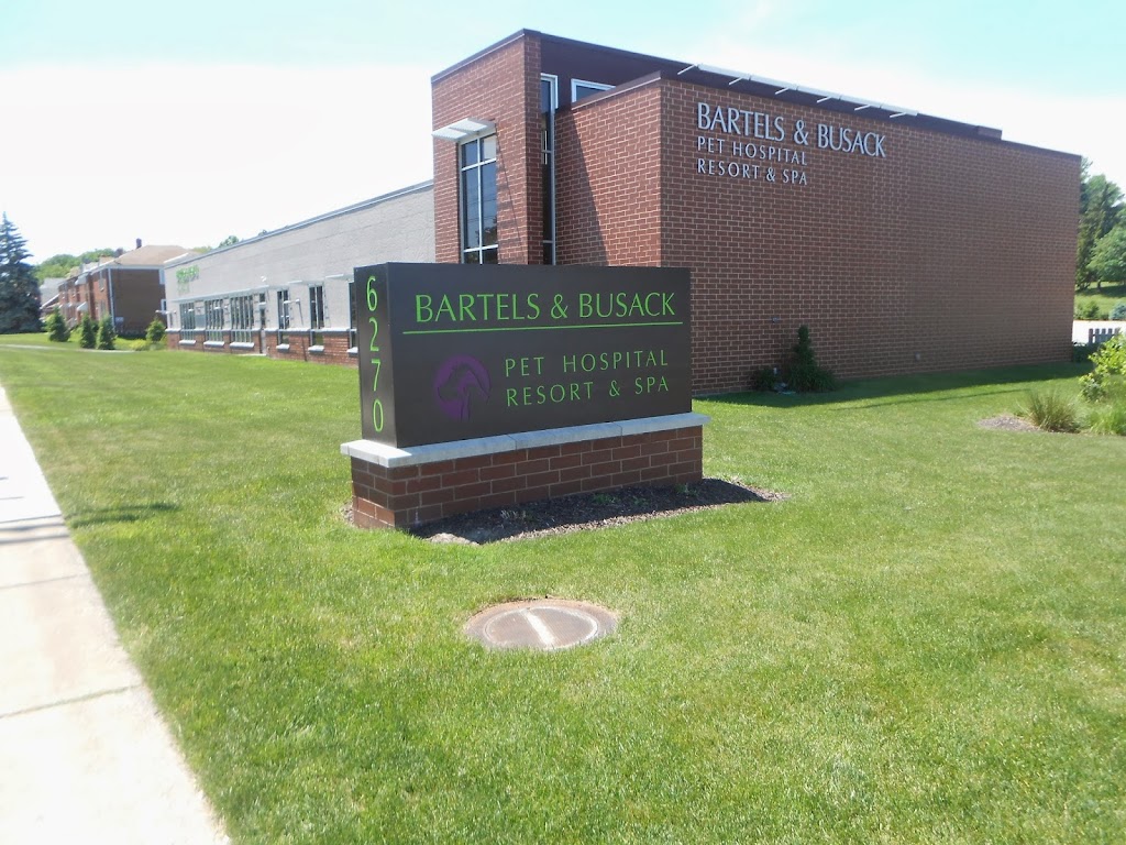 Bartels Busack Pet Hospital Resort & Spa | 6270 State Rd, Parma, OH 44134, USA | Phone: (440) 845-7141