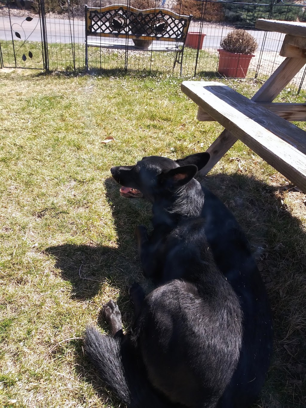 Leahs Landing Senior RV Park 55+ | 1606 N Irene Dr, Nampa, ID 83687, USA | Phone: (208) 867-7393