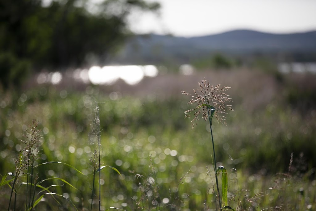 Camp Creek Park | 3408 1221, Co Rd 343, Marble Falls, TX 78654, USA | Phone: (512) 473-3366