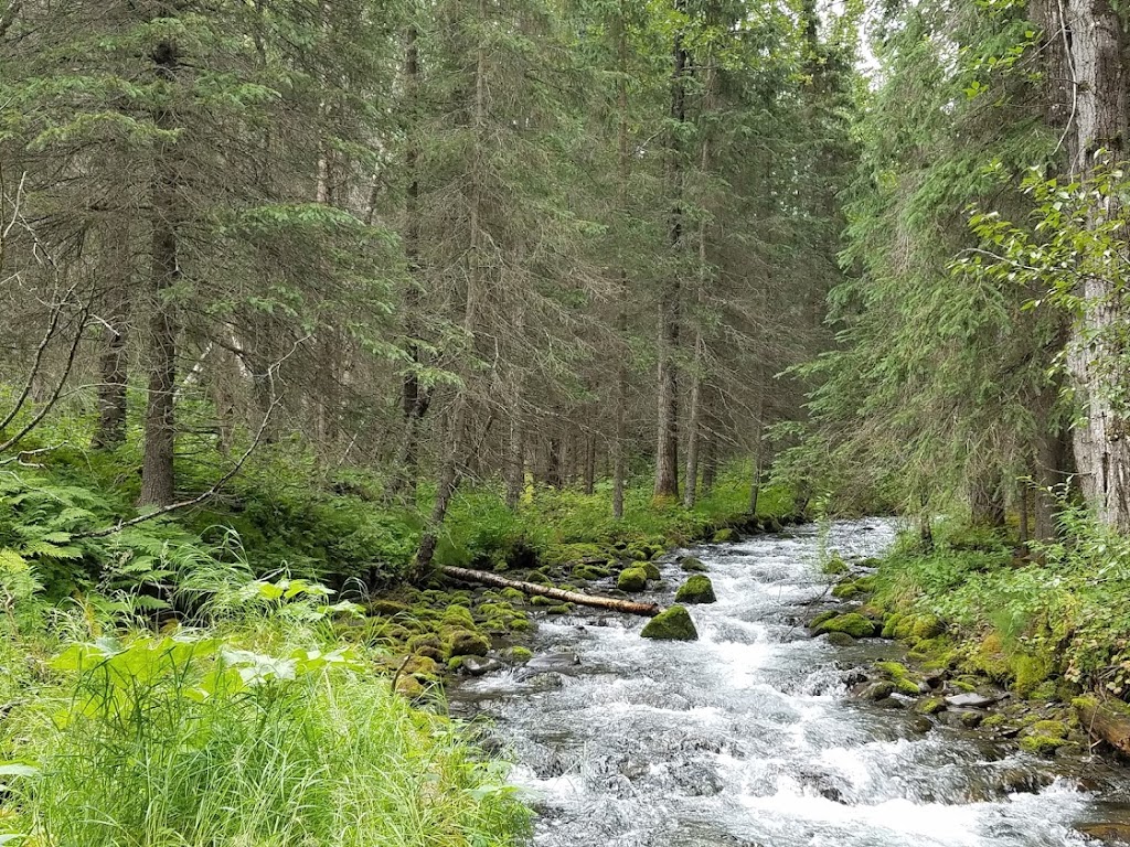 Caribou Creek Cabin | Seward, AK 99664, USA | Phone: (907) 743-9500