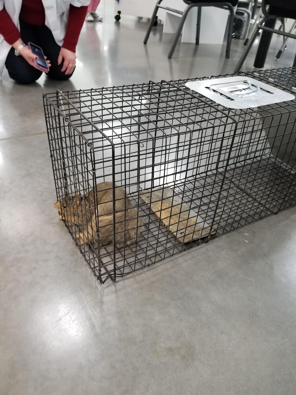 Sacramentos Finest Floors | 2410 Mercantile Dr, Rancho Cordova, CA 95670, USA | Phone: (916) 370-7260