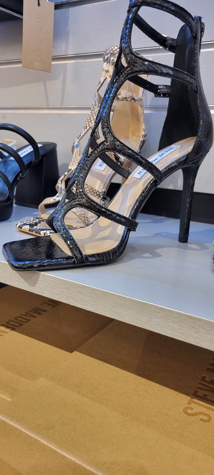 Steve Madden | 5518 New Fashion Way Suite #560, Charlotte, NC 28278, USA | Phone: (704) 583-2516