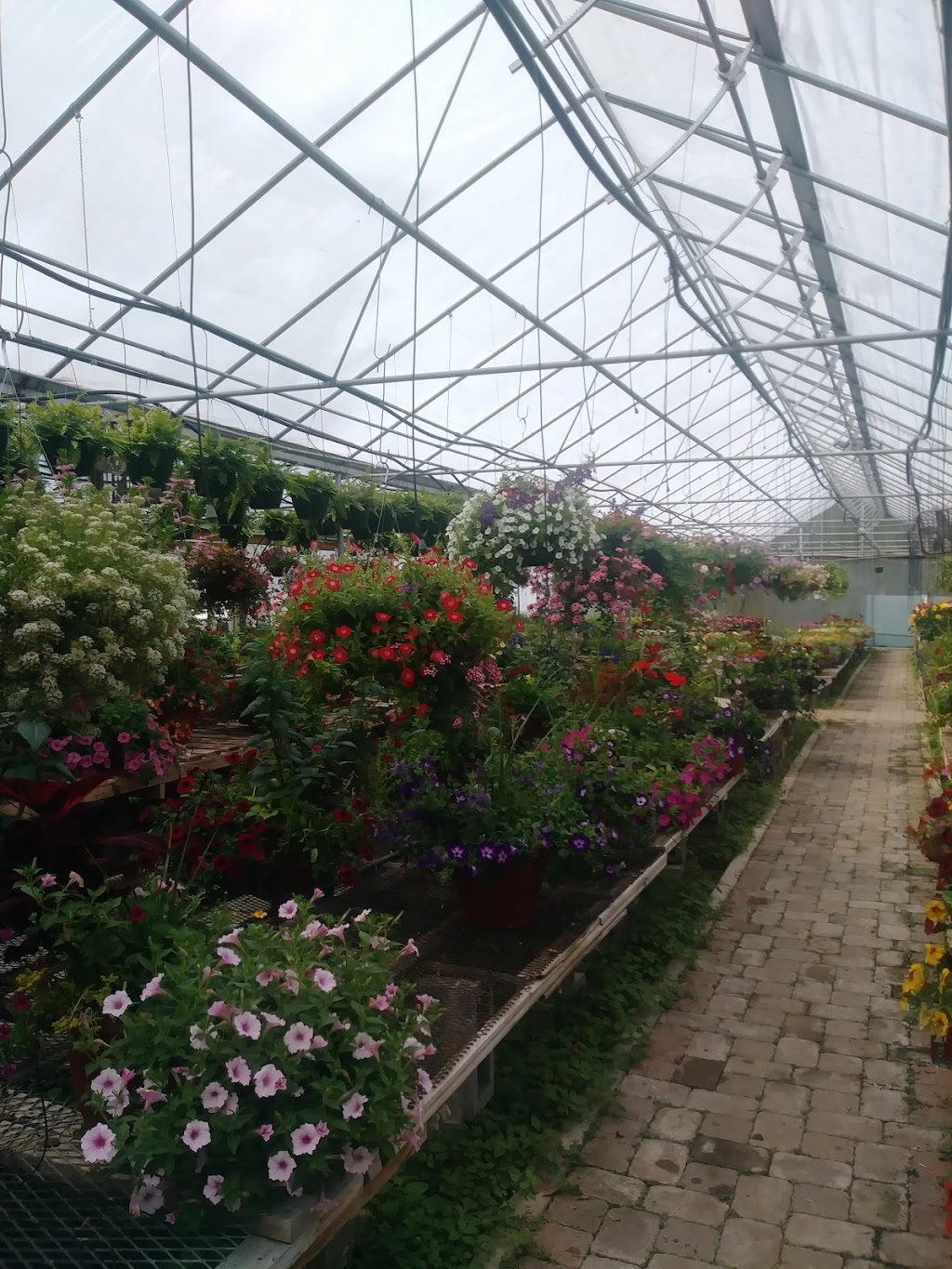 Goodwin Greenhouse | 300 Hoffman Ln, La Grange, KY 40031, USA | Phone: (502) 222-4769