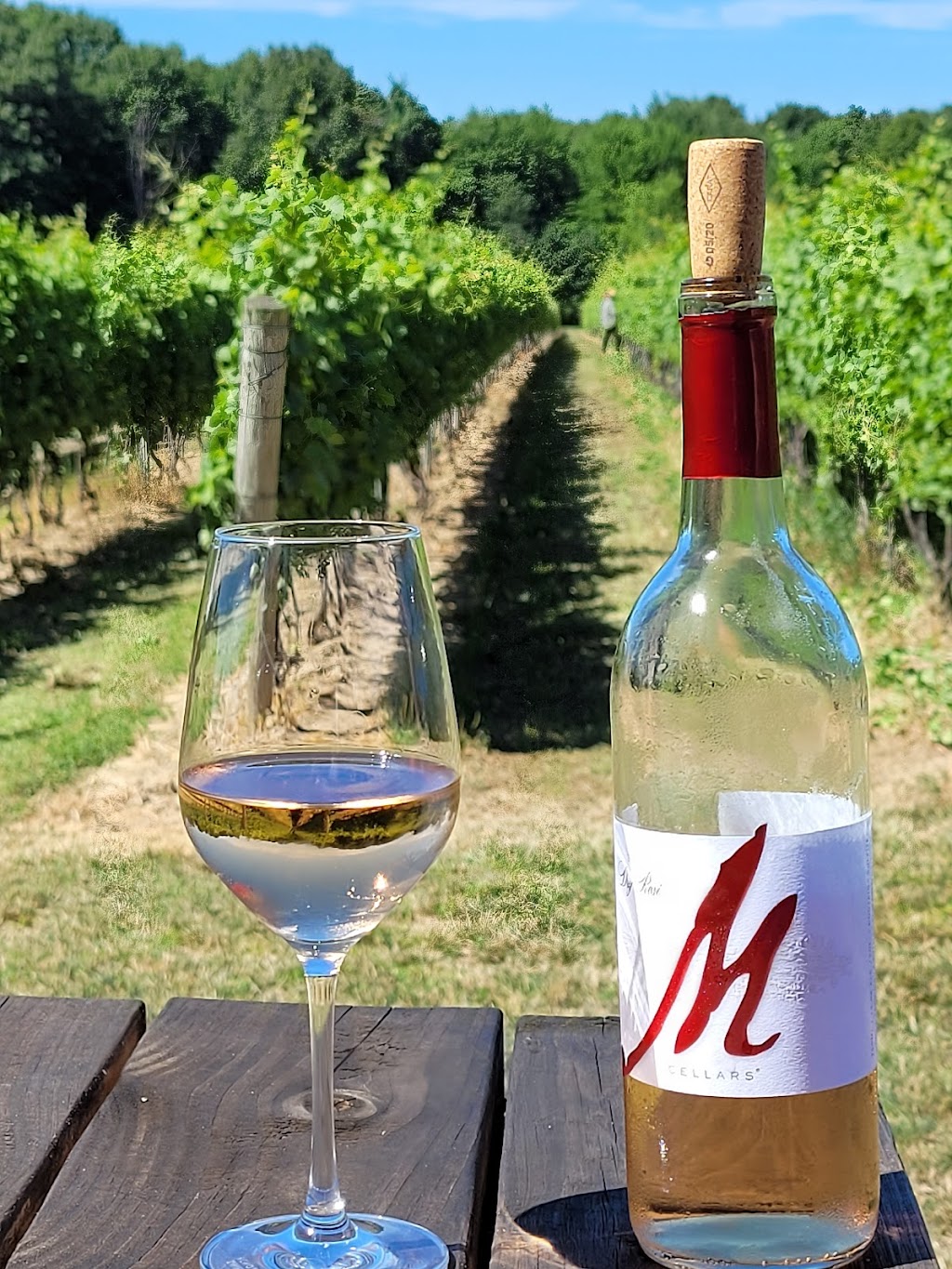 M Cellars Winery | 6193 S River Rd W, Geneva, OH 44041, USA | Phone: (440) 361-4104