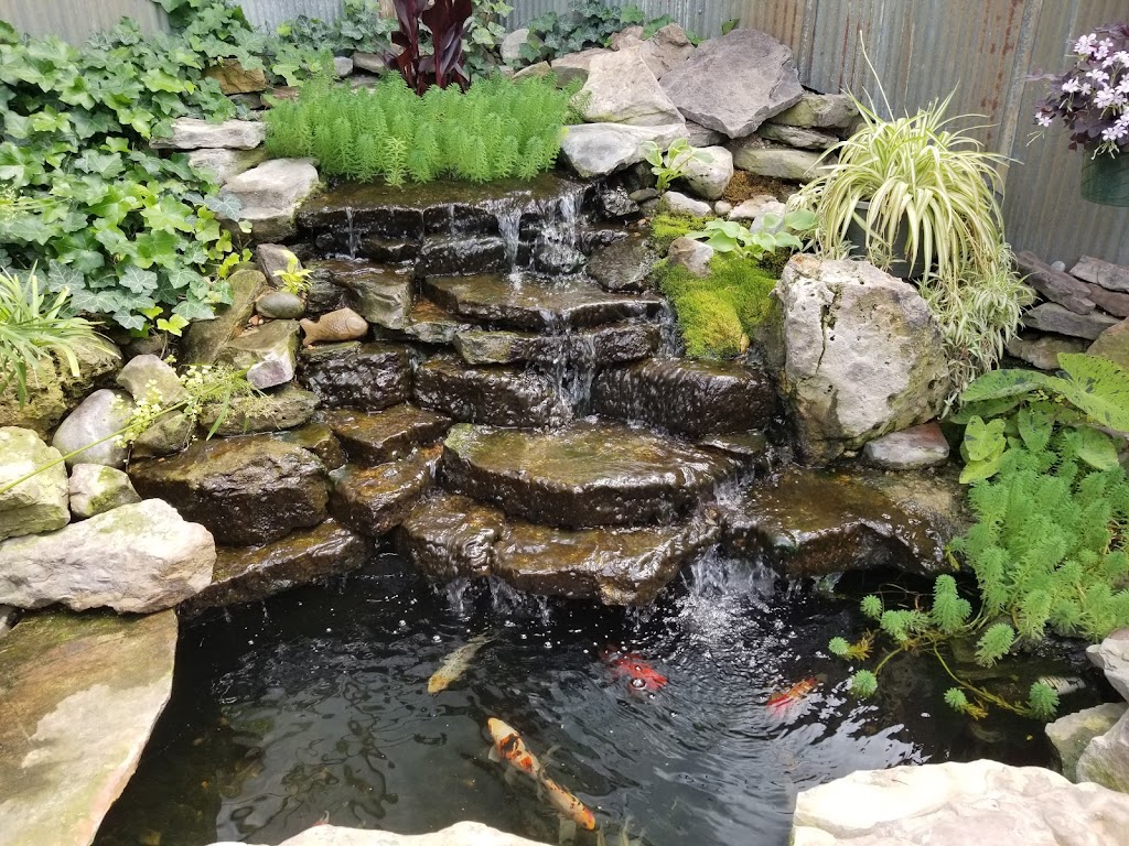 Scenic Landscapes, Water Garden Nursery & Garden Center | 5911 W Maple St, Wichita, KS 67209, USA | Phone: (316) 942-4861