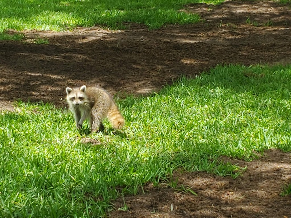 Flamingo Lakes Golf & Country Club | 701 SW Flamingo W Dr, Pembroke Pines, FL 33027, USA | Phone: (954) 435-6110 Flamingo Lakes Golf & Country Club | 701 SW Flamingo W Dr, Pembroke Pines, FL 33027, USA | Phone: (954) 435-6110