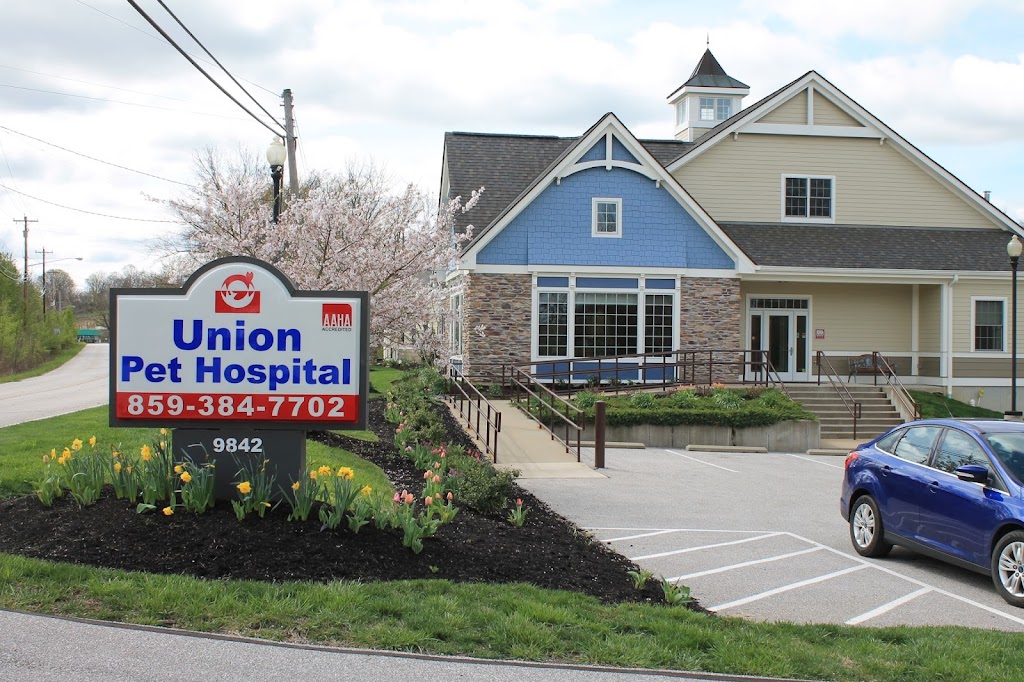 Union Pet Hospital | 9842 Old Union Rd, Union, KY 41091, USA | Phone: (859) 384-7702