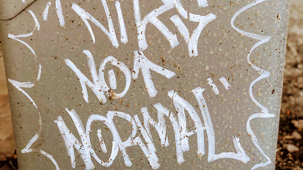 Niks Not Normal | 9941 FM2673, Canyon Lake, TX 78133, USA | Phone: (830) 312-0987